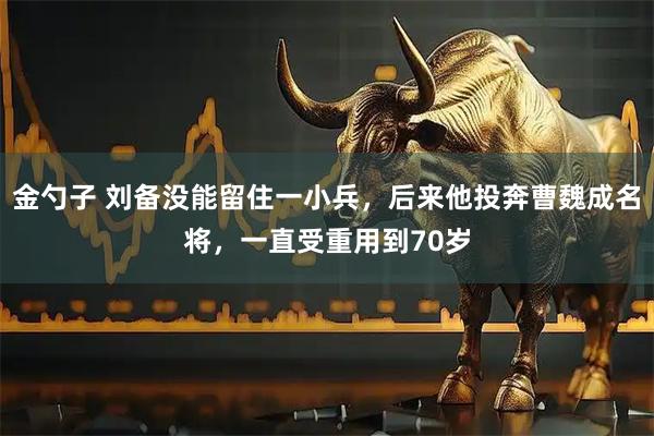 金勺子 刘备没能留住一小兵，后来他投奔曹魏成名将，一直受重用到70岁